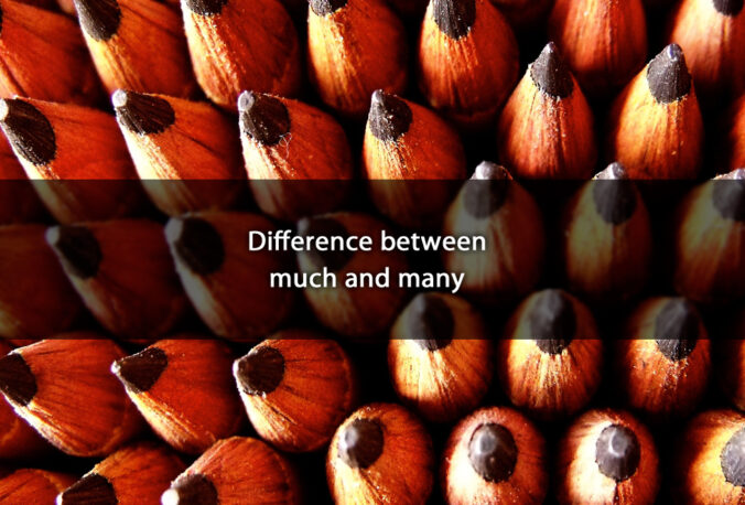 Difference between much and many
