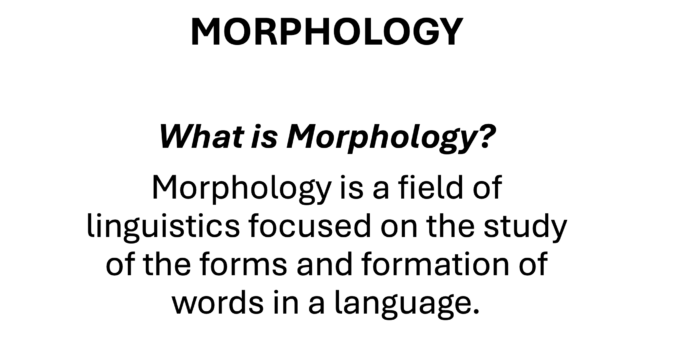 Der Text "MORPHOLOGY What is Morphology? Morphology is a field of linguistics focused on the study of the forms and formation of words in a language."