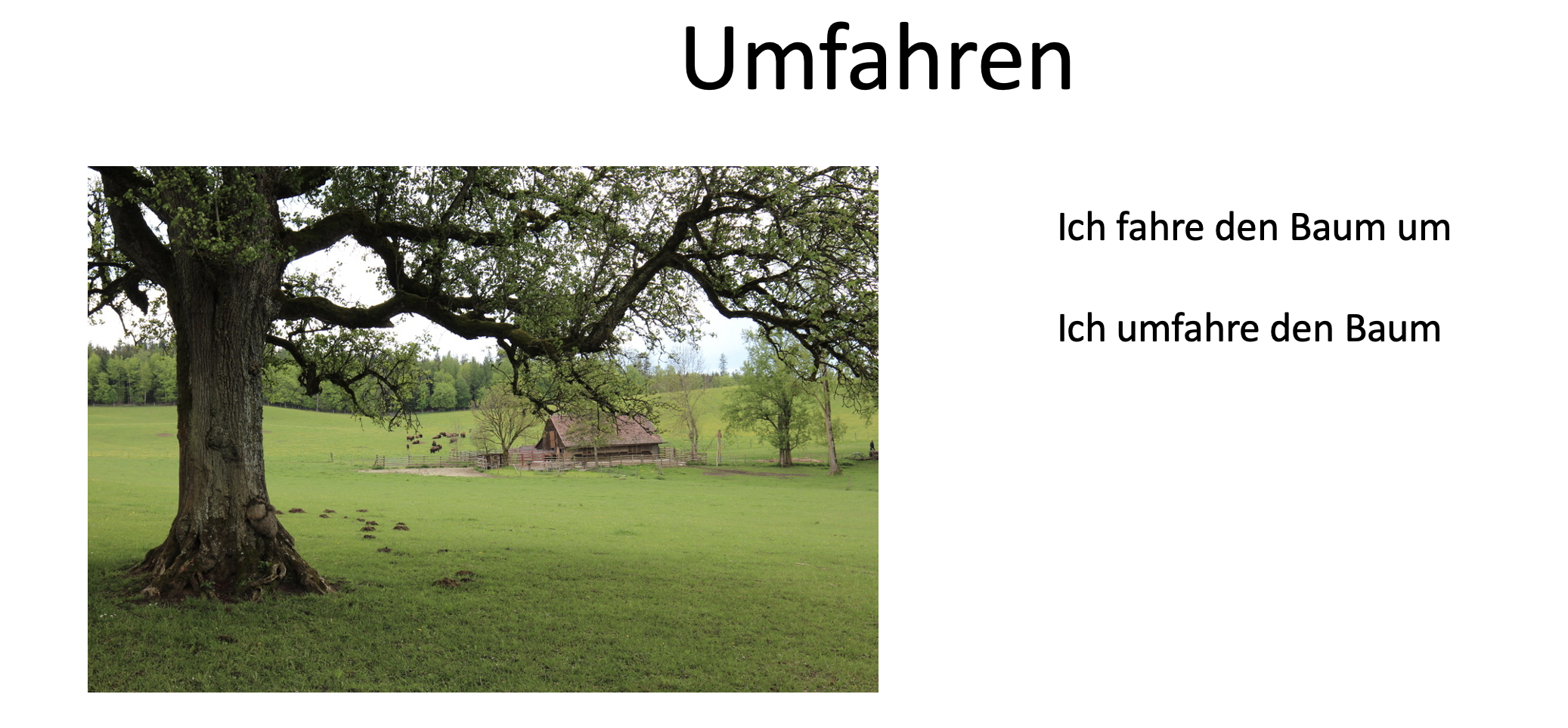 Partikelverben (Phrasal Verbs) — 1